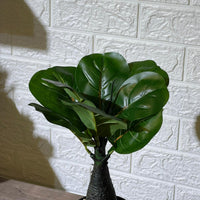 Cute Fiddle Leaf Artificial Plant