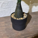 Cute Fiddle Leaf Artificial Plant