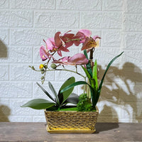 Chrome Artificial Plant Arrangement