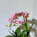 Chrome Artificial Plant Arrangement