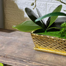 Chrome Artificial Plant Arrangement