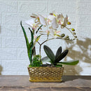 Chrome Artificial Plant Arrangement
