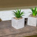 Patterned Concrete Pot Succulent Artificial