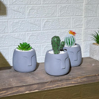 Face Concrete Artificial Cactus