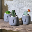Face Concrete Artificial Cactus
