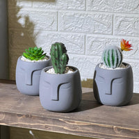 Face Concrete Artificial Cactus