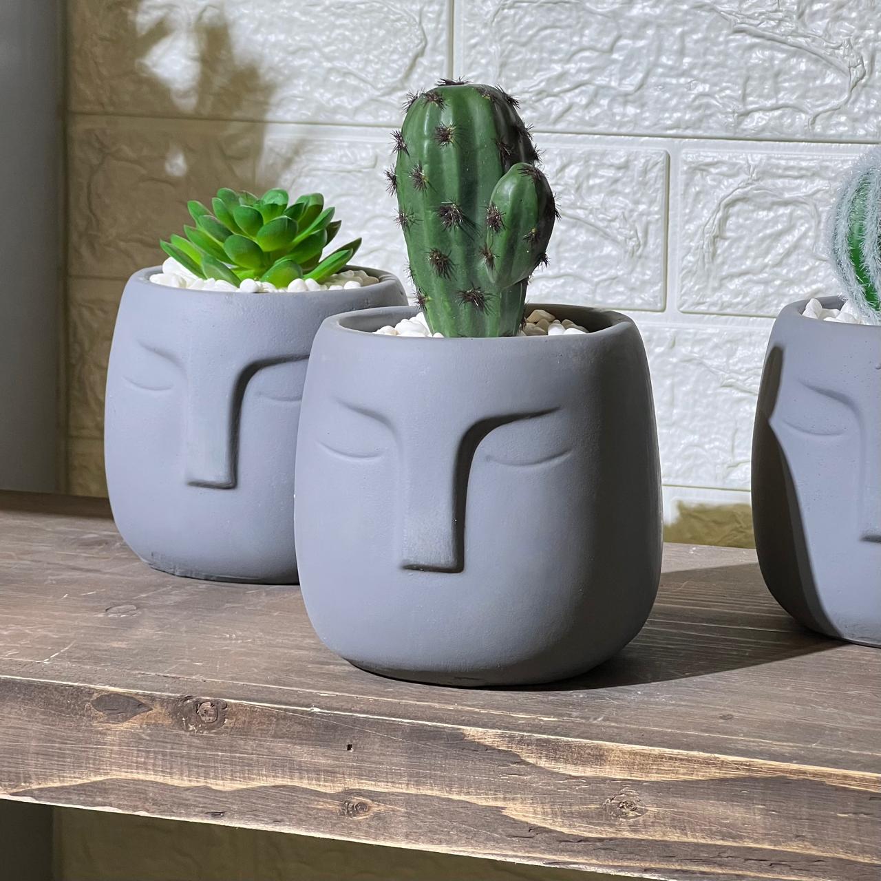 Face Concrete Artificial Cactus