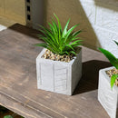 Patterned Concrete Pot Succulent Artificial