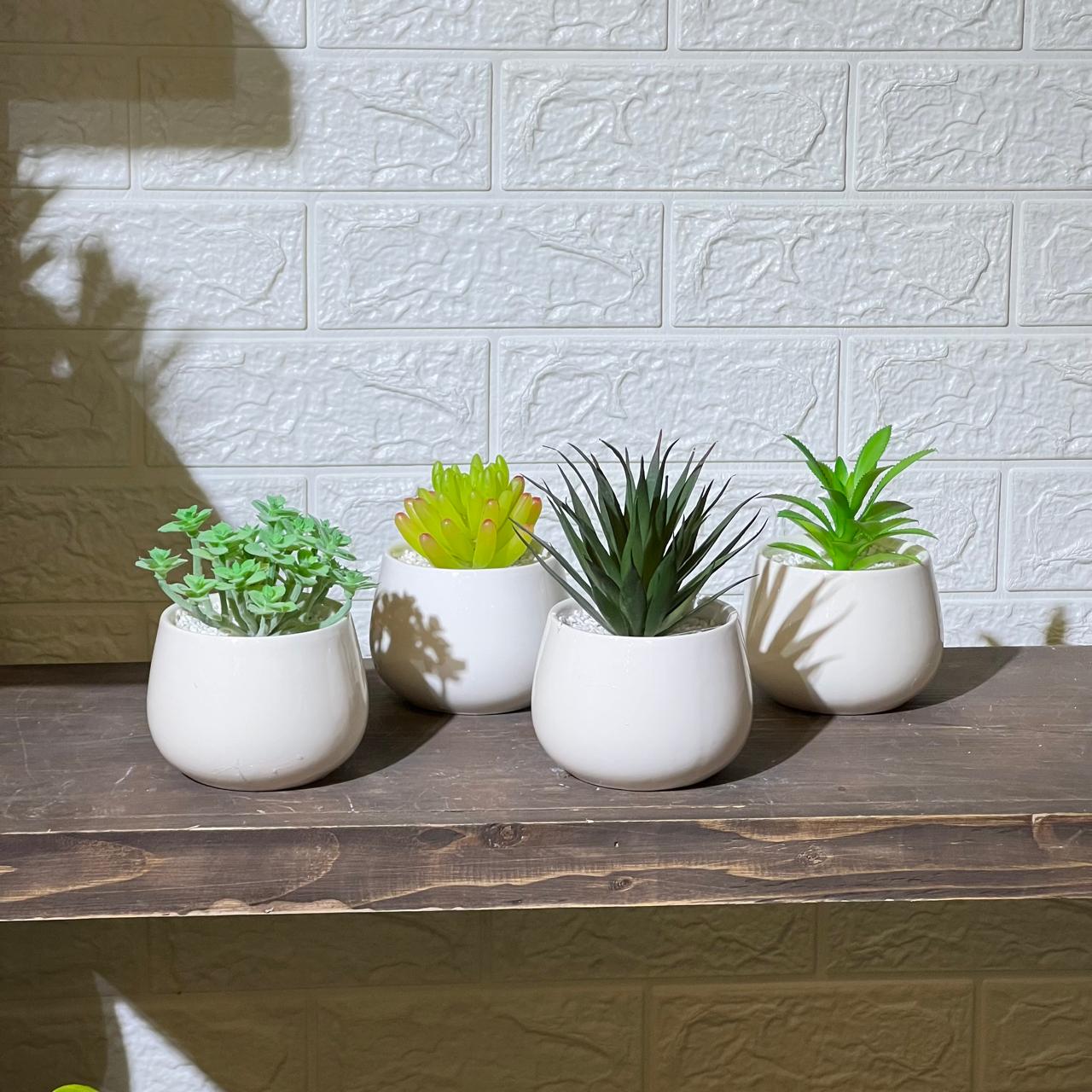 White Pot Artificial Succulent
