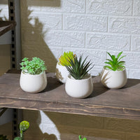 White Pot Artificial Succulent