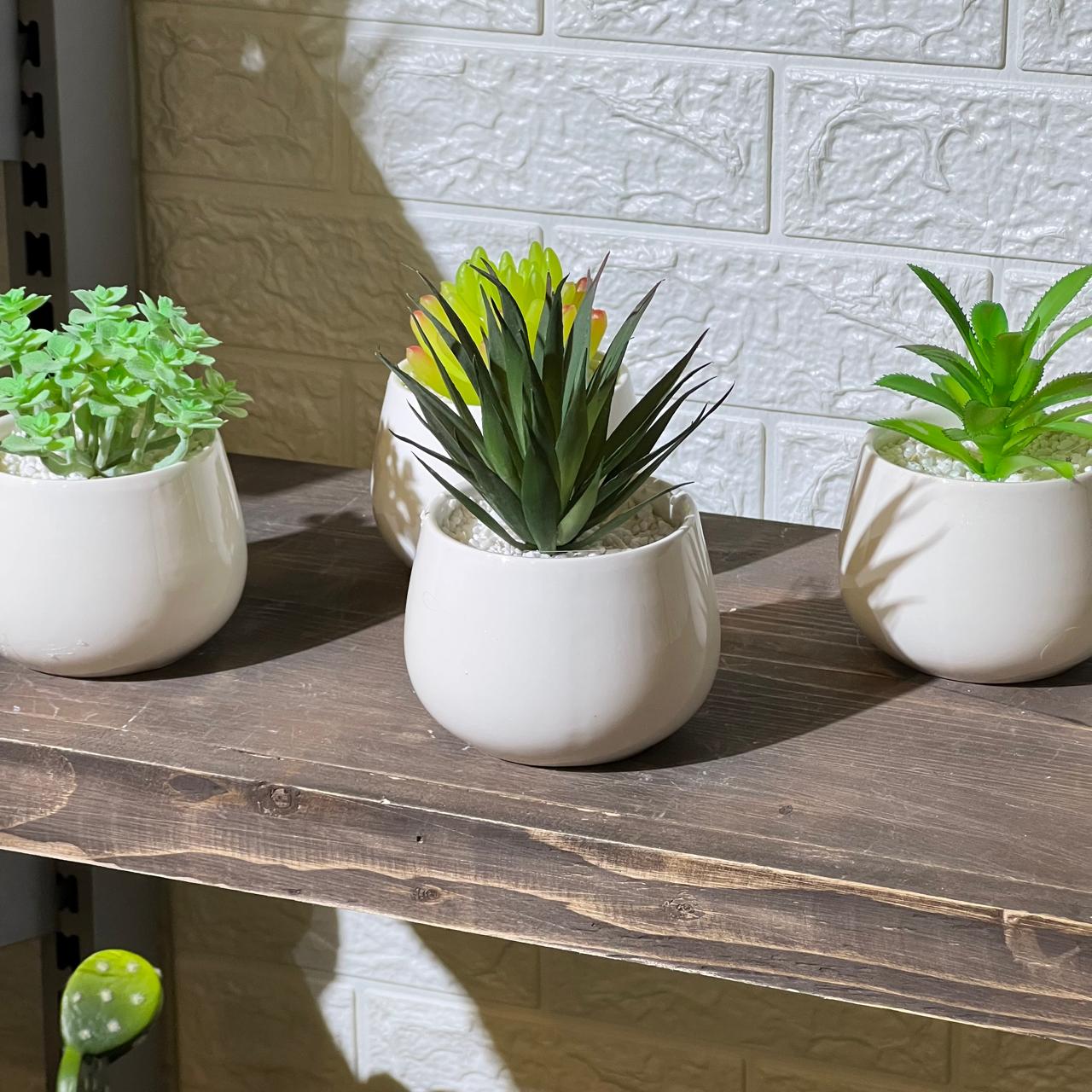 White Pot Artificial Succulent