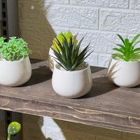 White Pot Artificial Succulent