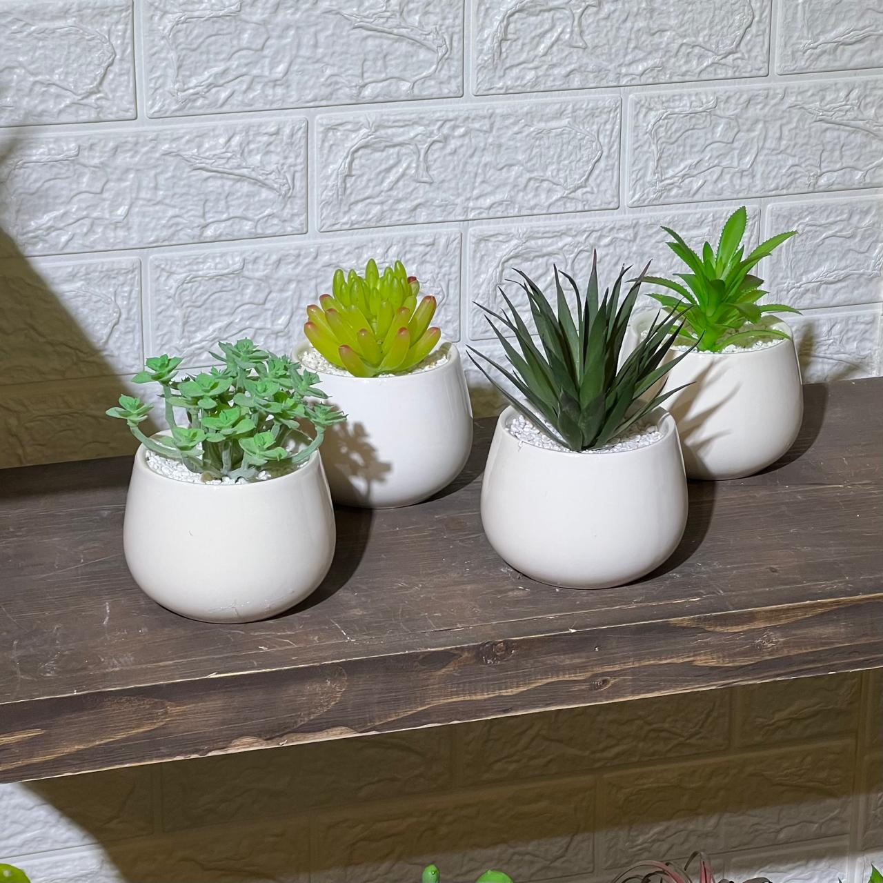 White Pot Artificial Succulent