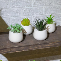 White Pot Artificial Succulent