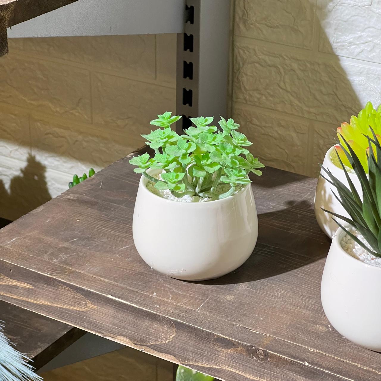 White Pot Artificial Succulent