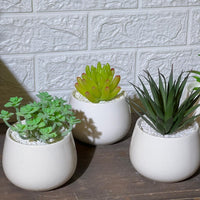 White Pot Artificial Succulent