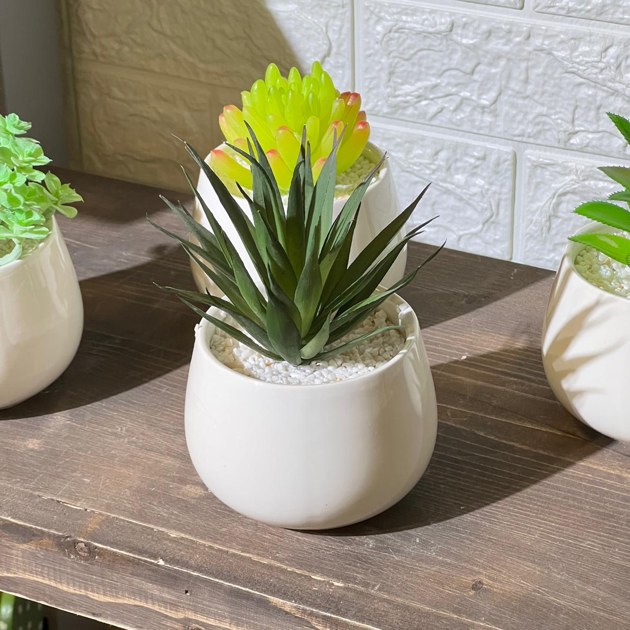 White Pot Artificial Succulent