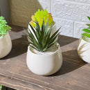 White Pot Artificial Succulent