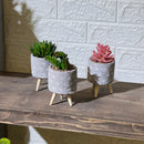 Concrete Pot Wooden Legs Artificial Succulent