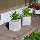 Patterned Concrete Pot Succulent Artificial
