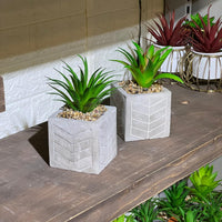 Patterned Concrete Pot Succulent Artificial
