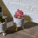 Concrete Pot Wooden Legs Artificial Succulent