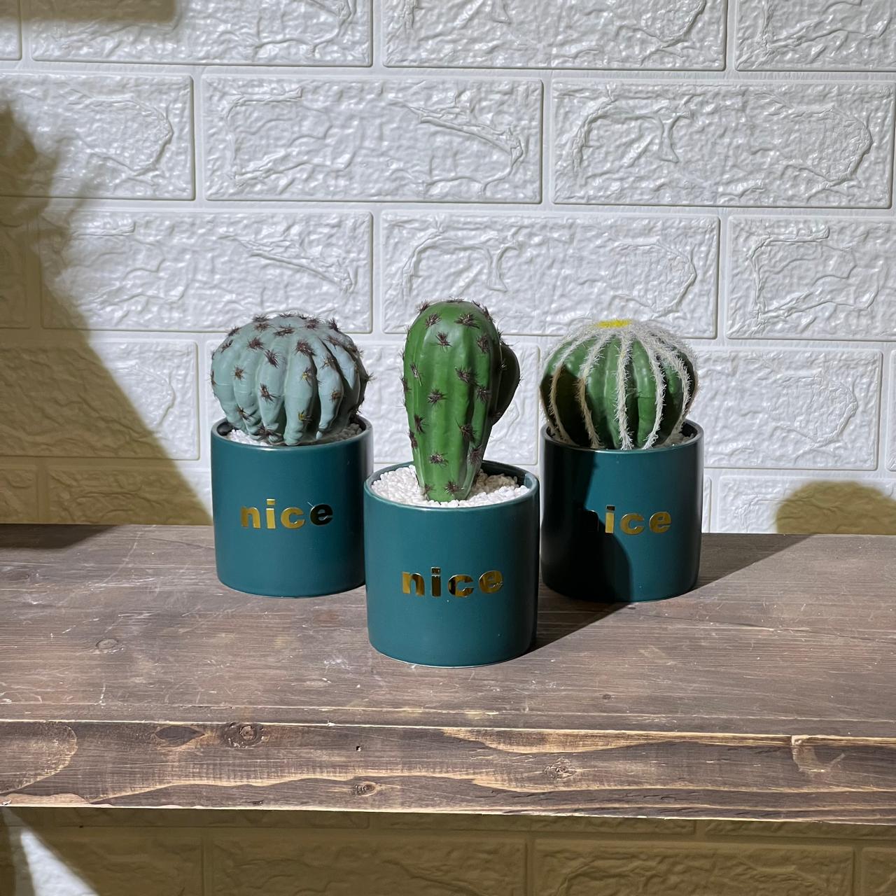 Nice Turquoise Artificial Cactu