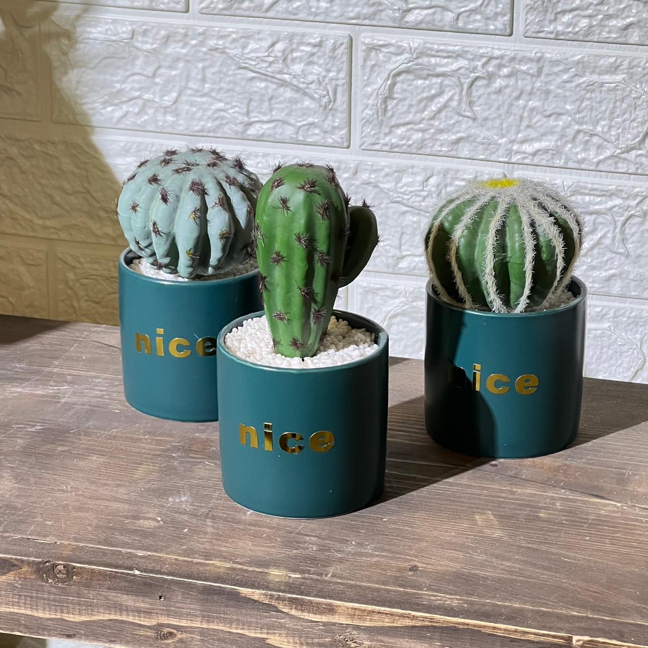 Nice Turquoise Artificial Cactu