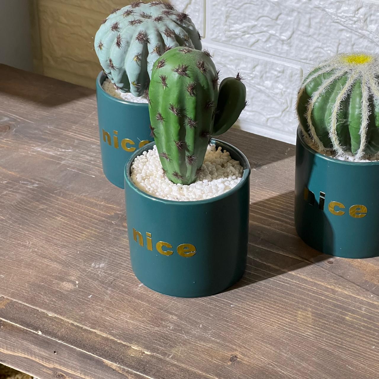 Nice Turquoise Artificial Cactu