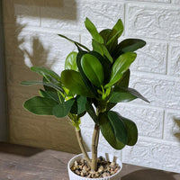Striped White Pot Artificial Plant
