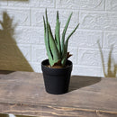 Realistic Aloe Vera Artificial Plant