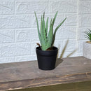 Realistic Aloe Vera Artificial Plant