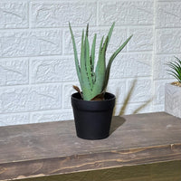 Realistic Aloe Vera Artificial Plant