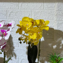 Round Chrome Pot Orchid Artificial Plant