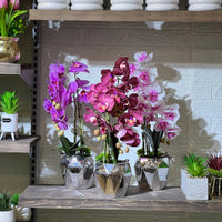 Edgy Chrome Artificial Orchid