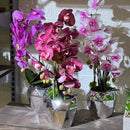 Edgy Chrome Artificial Orchid