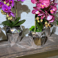 Edgy Chrome Artificial Orchid