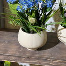 Striped Textured Striped White Pot Artificial Plant