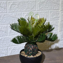 Mini Palm Artificial Plant Black Pot