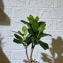 Striped White Pot Artificial Plant