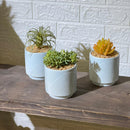 Light Blue Pastel Pot Artificial Plant
