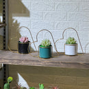 Heart Frame Artificial Succulent