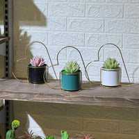 Heart Frame Artificial Succulent
