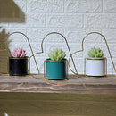 Heart Frame Artificial Succulent