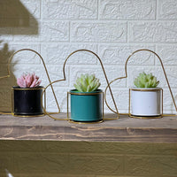 Heart Frame Artificial Succulent