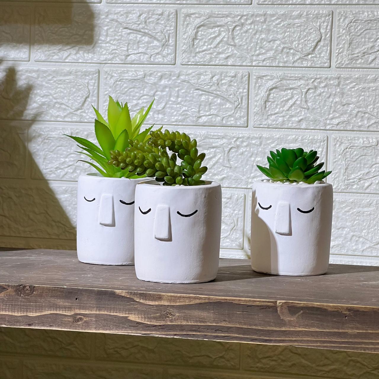 White Face Clay Look Pot Artificial Succulent