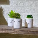 White Face Clay Look Pot Artificial Succulent