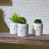 White Face Clay Look Pot Artificial Succulent