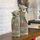 Owl Friends Set