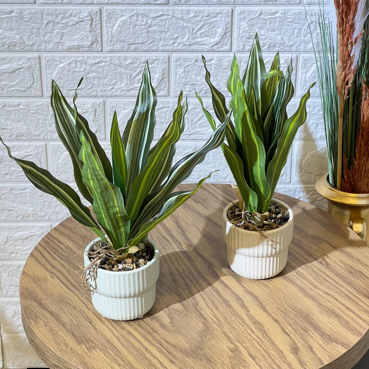 Snake Like Artificial Plant